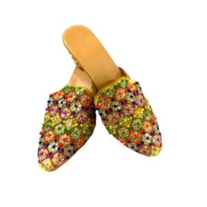 Raani Multi Colour Heel Jutti